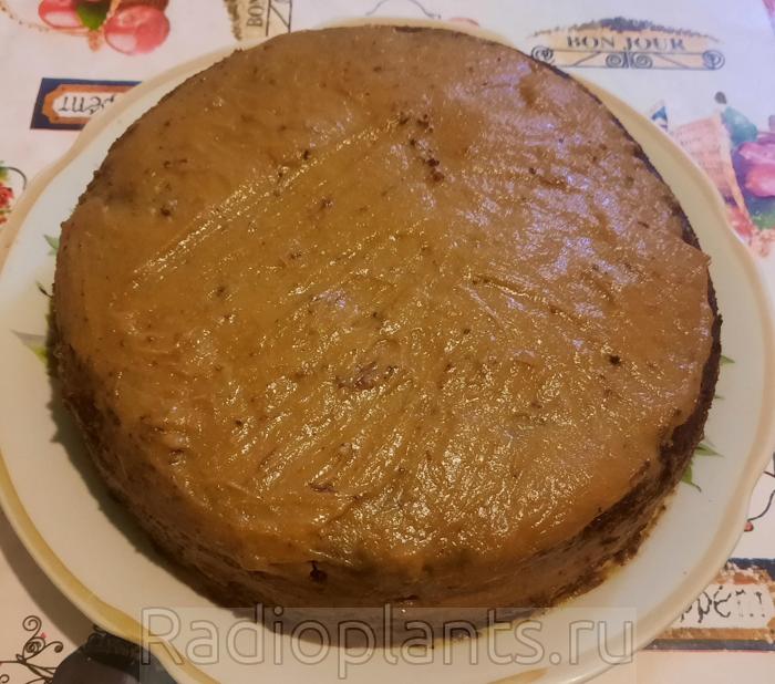 готовый торт