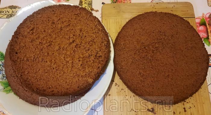 разрезаем на 3 коржа