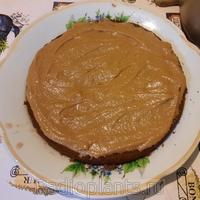 сборка торта 2